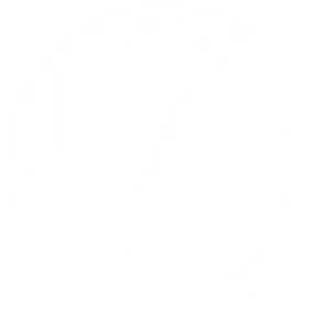 VRay
